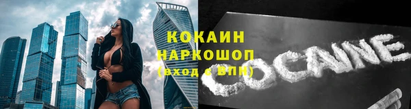 дживик Богданович