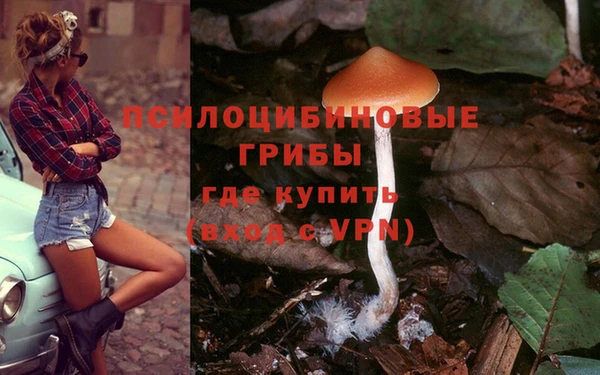 наркотики Белокуриха